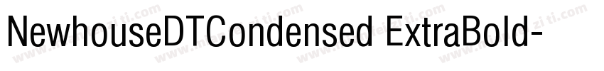 NewhouseDTCondensed ExtraBold字体转换
